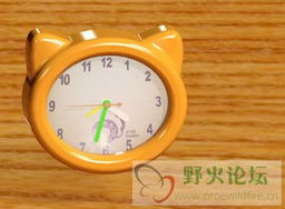 鬧鐘模型 高人指教——如何打造高效的時(shí)間管理系統(tǒng)
